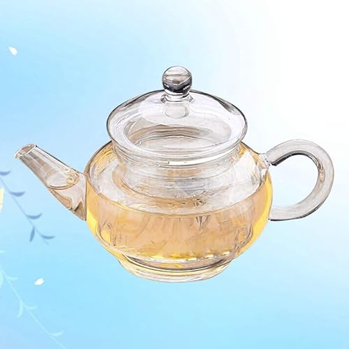 Miniatura 7 de Healeved Tetera de vidrio segura para estufa, tetera de café, tetera transparente con infusor de hojas sueltas y tetera floreciente