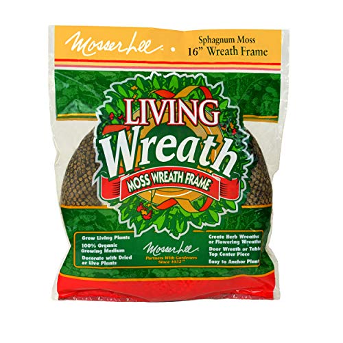 Mosser Lee KEW168 16" Living Wreath