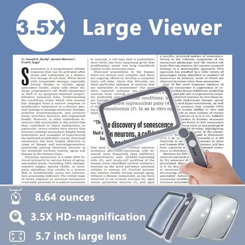 Loupe pour basse vision rectangulaire réglable contre la fatigue oculaire - 4