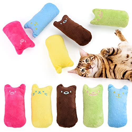 10 Stück Katzenspielzeug Maus Katzenminze Spielzeug für Katzen Plüsch Katzenspielzeug Interaktives Katzenspielzeug Katze Kauspielzeug Plüsch Maus Kätzchen Spielzeug für Katzen Kätzchen Spielzeug Mäuse Cover