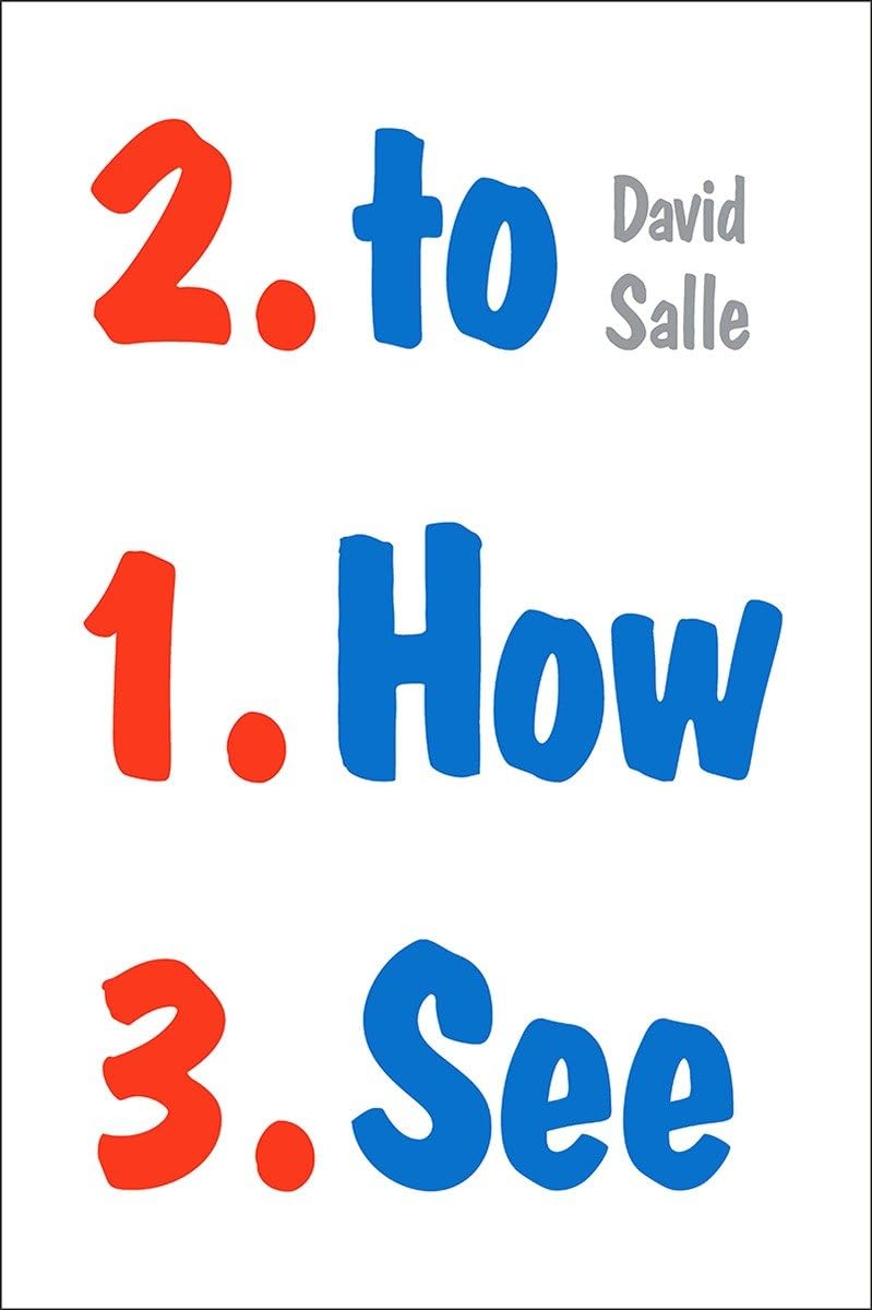 How to See by David Salle (Paperback Book)