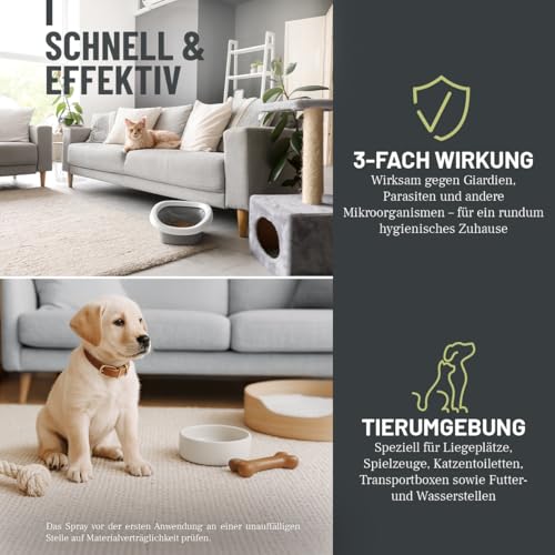 ReaVET Giardien-Spray 500 ml – Hygiene-Spray für Hund & Katze I wissenschaftlich Belegter Wirkstoff I Umgebungsspray zur Desinfektion gegen Giardien, Viren, Bakterien & Pilze