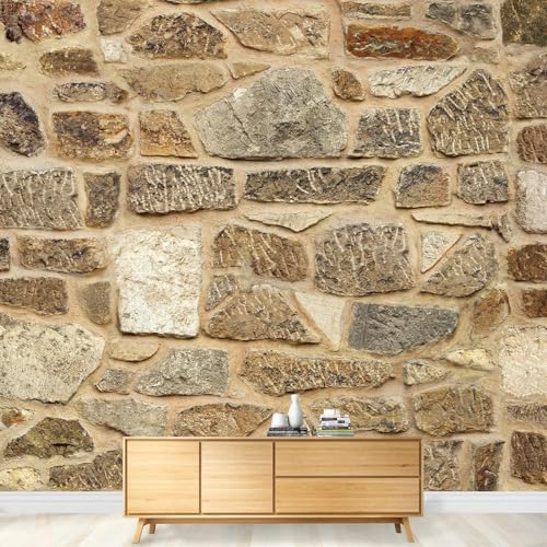 Papier Peint Panoramique Effet Pierre Papier Peint Intissé Style Campagnard Poster Trompe l'oeil Mural 3D Art Décoration Murale Salon Chambre 150x105 cm 0690b
