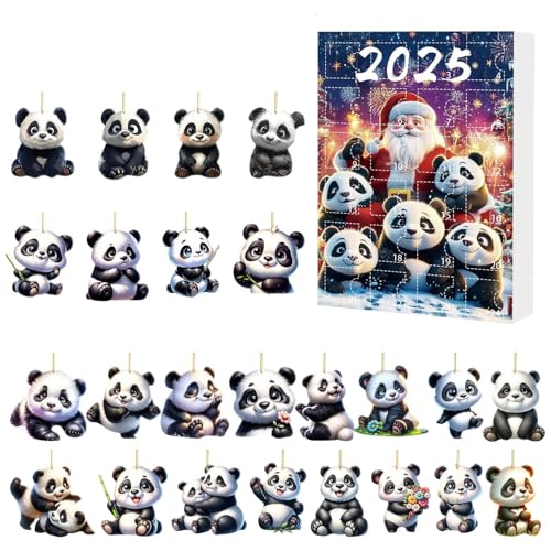 Misaakoeq NX}XJ_[ Ahxg 2025,24 2D p_ I[ig JEg_EJ_[ 2025 -  zf[ y_g p[eB[ LOi    hA   a tFXeBo