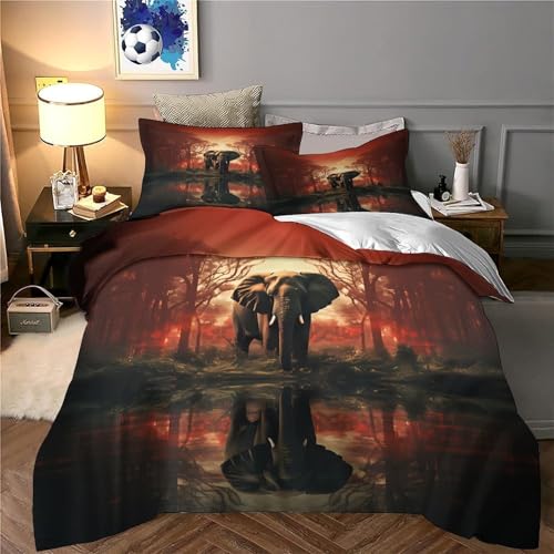 Parure de lit double 200x200 housse de couette microfibre fermeture éclair 3D