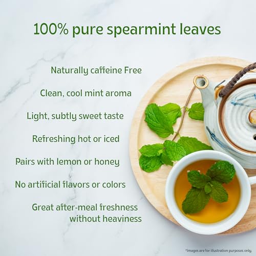 Image of TE-A-ME Spearmint Infusion - 150g (150+ Cups) | Spearmint Leaves for PCOS, PCOD & Facial Hair | Helps - Balance Hormones, Reduces Facial Hair & Acne | Supports Digestion | Herbal Tea - Dried Loose Leaf - Caffeine Free | 50g - Pack of 3