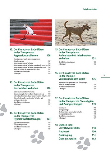 Bach-Blüten für meinen Hund: Wertvolle Helfer bei der Verhaltenstherapie