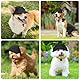 OFFCUP Hunde Baseballmütze Mütze Verstellbar Hunde-Sonnenhut mit Ohrlöchern Outdoor Hundecap Sommer Reise Hut Sonnenhüte Sonnenschutz Sport Sommer-Haustier-Visier für Welpen Katzen (Schwarz, XL)