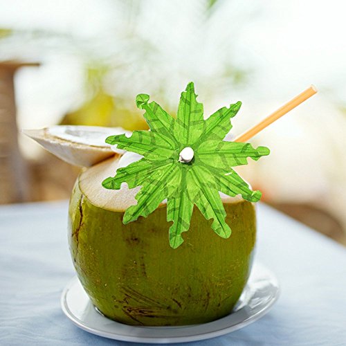 Wowagoga 20Pcs Handmade Cocktail, Fruit, Ice Cream Parasol Sticks Green Tropical Coconut Palm Tree Paper Umbrellas Picks Cupcake Toppers Bamboo Toothpicks, 5.9 Inches - Thumbnail 2