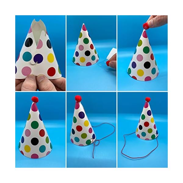CBM Dog Party Hat Set Dog Birthday Party Hats and Crowns Party Time