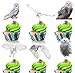 owl Cupcake Toppers set Picks Forest animals Theme child Boy girl Baby Shower Party Decorations - Set of 18