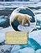 Amazing Creatures of the Arctic Ocean: Learn About Animals Including Polar Bears, Narwhals, Seals, and Sea Spiders! (Curious Fox Books) Sea Animal Fun Facts for Kids Ages 4-10