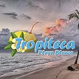 Vibra Music Entertainment S.A.S.