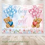 Zoom IMG-1 omifly bear gender reveal sfondo Zoom IMG-1 omifly bear gender reveal sfondo