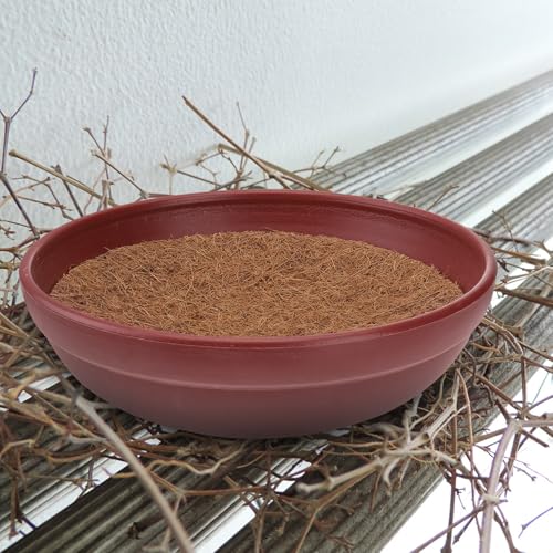 Nids pour pigeons accessoires oiseaux coussins nidification palmier