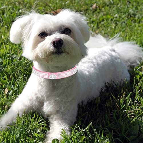 HALFSUMO Rhinestone Dog Collar Leather Dog Collar for Dogs Sparkly Rhinestone Studded Dog Collars for Pets Puppies Cats Combined Set including Leash - Image 4