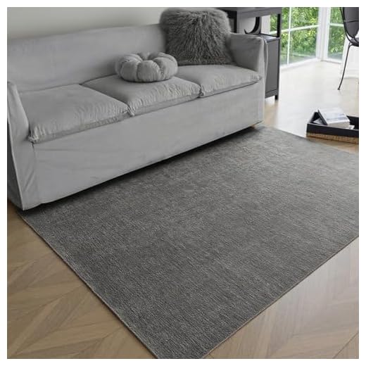 Obundi KüChenteppich Waschbar, 80x120cm, Dunkelgrau Teppich Wohnzimmer, Waschbarer Teppich Kinderzimmer, Teppiche Eingangsbereich Innen, Kurzflor Rechteckiger Carpet Weicher Modern Bedroom