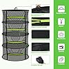 Amazon.com: MEKOLIFE Herb Drying Rack - Mesh Drying Rack - Herb Drying ...