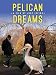 Pelican Dreams