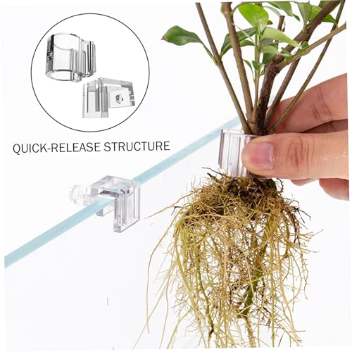 Soporte para plantas de acuario transparente en forma de U pack de 12 unidades para paisajismo 5