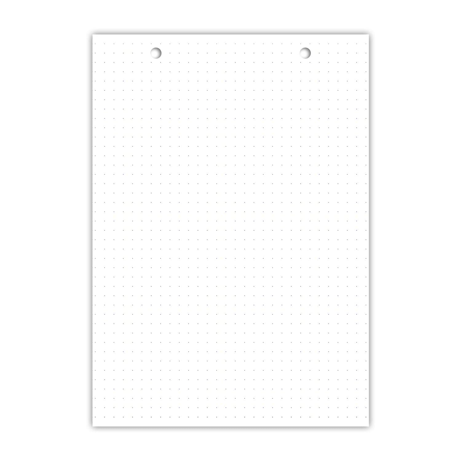 OXFORD Lot de 10 Blocs de 30 fiches bristol 148X210 perforées DOT blanc
