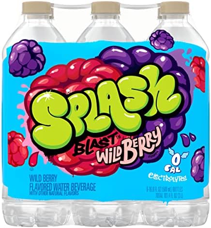 Splash Blast, Wild Berry Flavored Water, Zero Sugar, with Electrolytes, 16.9 Fl Oz, 6 Pack