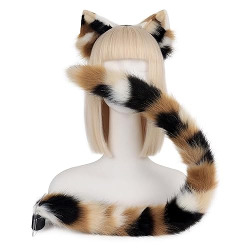 calico cat set | high