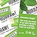 Hurraw! Mint Lip Balm, 3 Pack: Organic, Certified Vegan, Cruelty and Gluten Free. Non-GMO, 100% Natural Ingredients. Bee, Shea, Soy and Palm Free. Made in USA