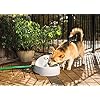 PetSafe-Drinkwell-Everflow-IndoorOutdoor-Dog-and-Cat-Water-Fountain-Pet-Drinking-Fountain-192-oz-Water-Capacity-Gray Outdoor Dog and Cat Water Fountain