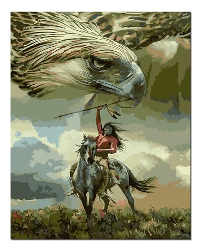 Peinture par numéros aigle et guerrier Shukqueen : idée cadeau originale kit créatif adulte