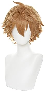 Amazon.co.jp: HIROAKIYA タルタリヤ ウィッグ 原神 タルタリヤ