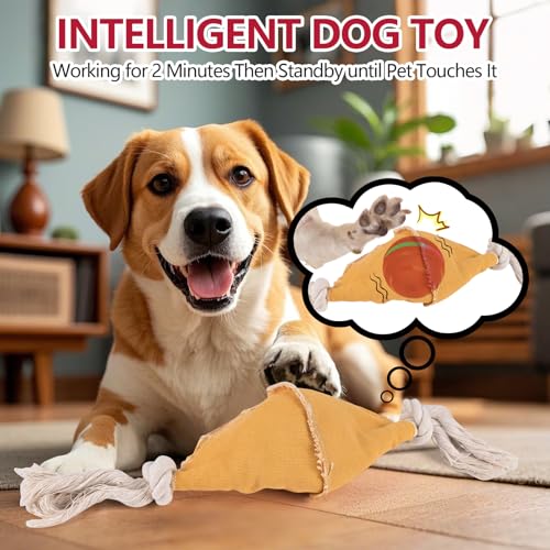 Diealles Shine Interaktives Hundespielzeug, Hundespielzeug Ball Mit 2 Modi, Spielzeug Für Hunde Gegen Langeweile, Hundeball Elektrisch USB Aufladbar, Selbstrollender Ball Für Kleine Hunde