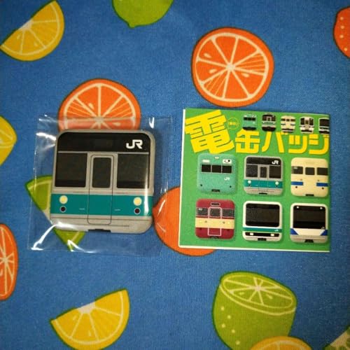 ��֐� �o�b�W 203�n