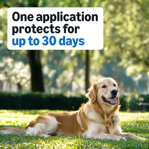 Amazon Basics Preventative Flea and Tick Topical Treatment for Medium Dogs (23-44 lbs), Up to 30 Days Protection, Fast Acting, 6 Counts, Packaging May Vary - Image 5