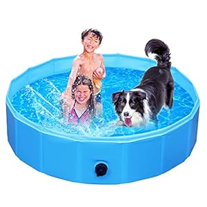 Hondenzwembad, hondenzwembad voor grote en kleine honden, opvouwbaar zwembad, pvc, 100% veilig en milieuvriendelijk, hondenbadkuip 160 cm