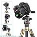 Neewer Heavy Duty Camera Tripod Ball Head with Handle and 1/4 inch Quick Shoe Plate, 360 Degree Panoramic Head for Tripod, Monopod, Slider, DSLR Camera, Camcorder, Load up to 17.6 pounds/8 kilograms