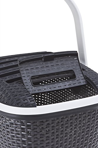 Curver Transportbox L: 51 cm B: 38 cm H: 33 cm anthrazit