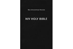 Pocket Bible NIV Mini: A Compact, Portable Guide to God's Word