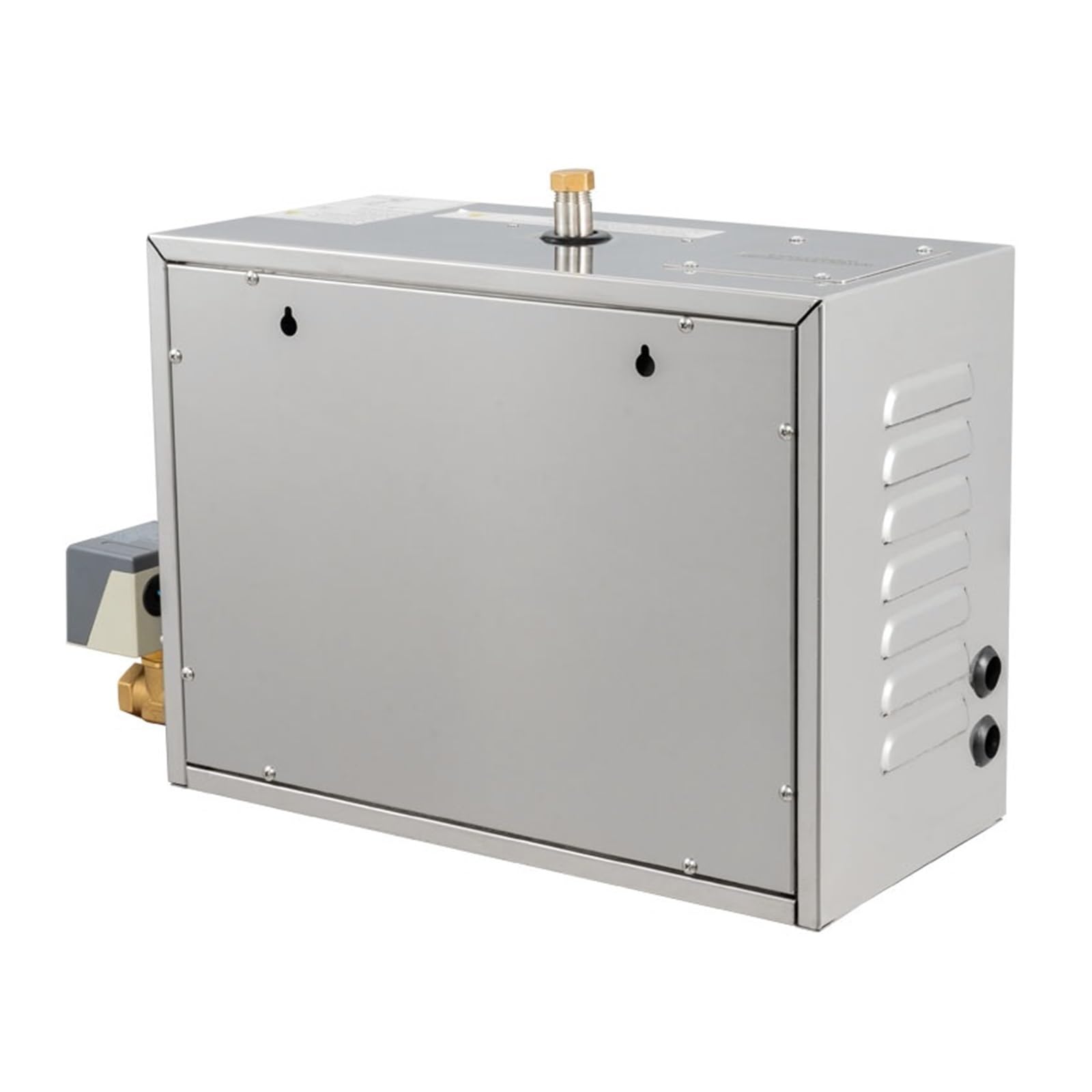 Machine de générateur bain la fonction 6KW vapeur humide Sauna, d'équipement Protection de sécurité