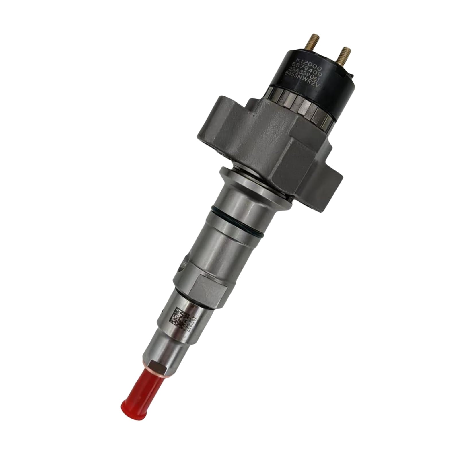 Amazon.com: IMELBUFF 2872331 5579409 2872331PX 5579409PX Diesel 