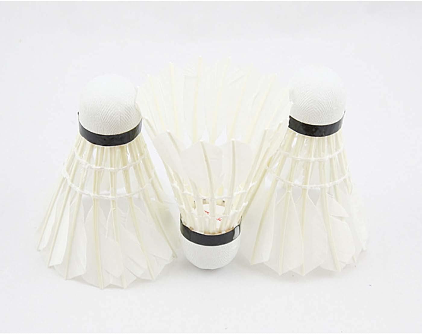 Yahoo ショッピング Paypayポイントがもらえる ネット通販