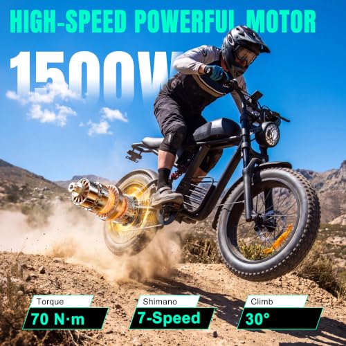 FLIWIN 1500W Peak Electric Bike
