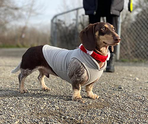 Image of Gooby Fleece Vest Dog Sweater, Yellow, Large | Soft warm fleece; Pullover, easy on /off (no zippers); O-ring leash attachment; Machine washable