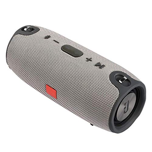 Altoparlante Portatile da 40 W Bluetooth Colonna Lettore Musicale Sistema Audio Boom Box con Radio FM Subwoofer Aux TF (Color : Gray)