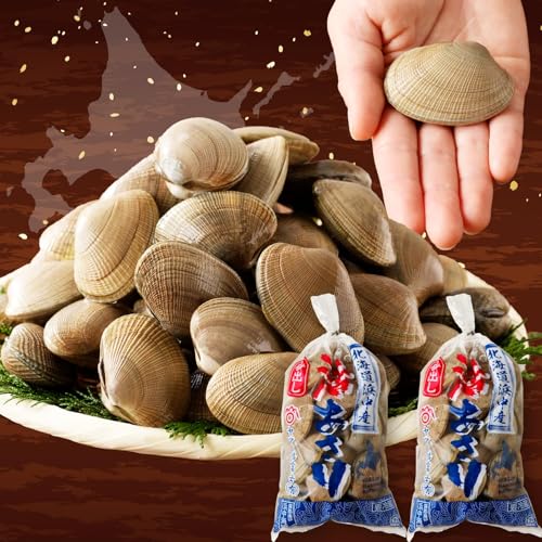 [訳あり]浜中町産 活あさり 500g×2袋セット 新鮮
