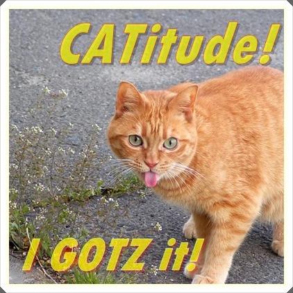 A BUDDY STORY with HEART.