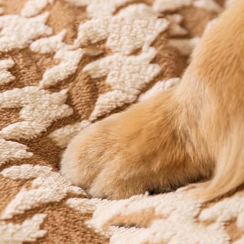 Labrador Beruhigende Höhle, orthopädisches Kissen, Größe XXL, extra großes Hundebett, Haustierhaus mit Dach, waschbares Jumbo-Zelt für kleine, mittelgroße und große Hunde