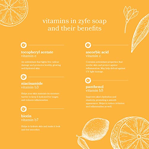 Vitamin Hand Soap | Liquid Hand Soap | Natural Plant Derived Moisturizing Handsoap With Essential Oil Fragrance Citrus Bask | Soft Hand Wash For Kitchen & Bathroom With Pump 12Oz | Lush Soft Soap #TOP1