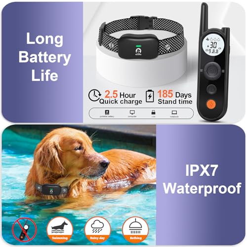 Tips for Wireless Dog Fence Training