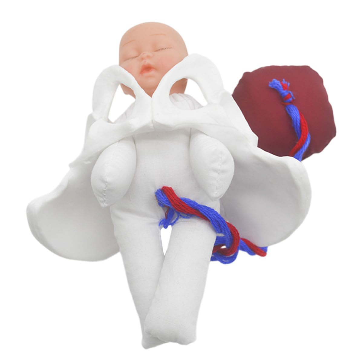 Operitacx Modèle Outil Polyvalent Cordon Ombilical et Placenta de Simulation D'accouchement en Pvc Fœtus Détaillé pour Formation Prénatale et Éducation Médicale